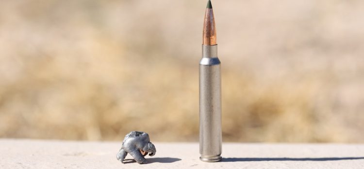 Les nouvelles munitions les plus intéressantes du SHOT Show 2026
