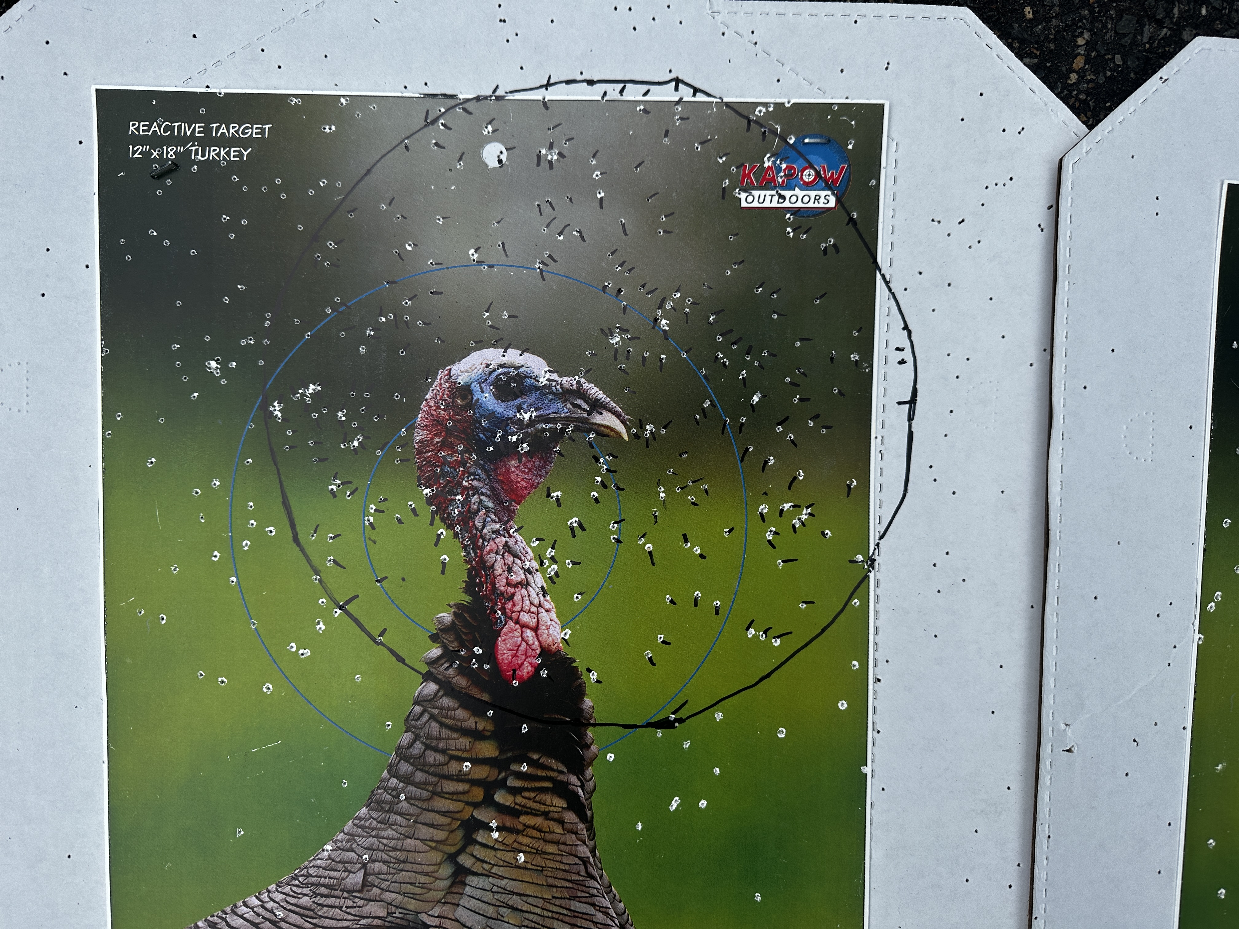 [Titre du site] Beretta A300 Ultima Turquie, modèle testé