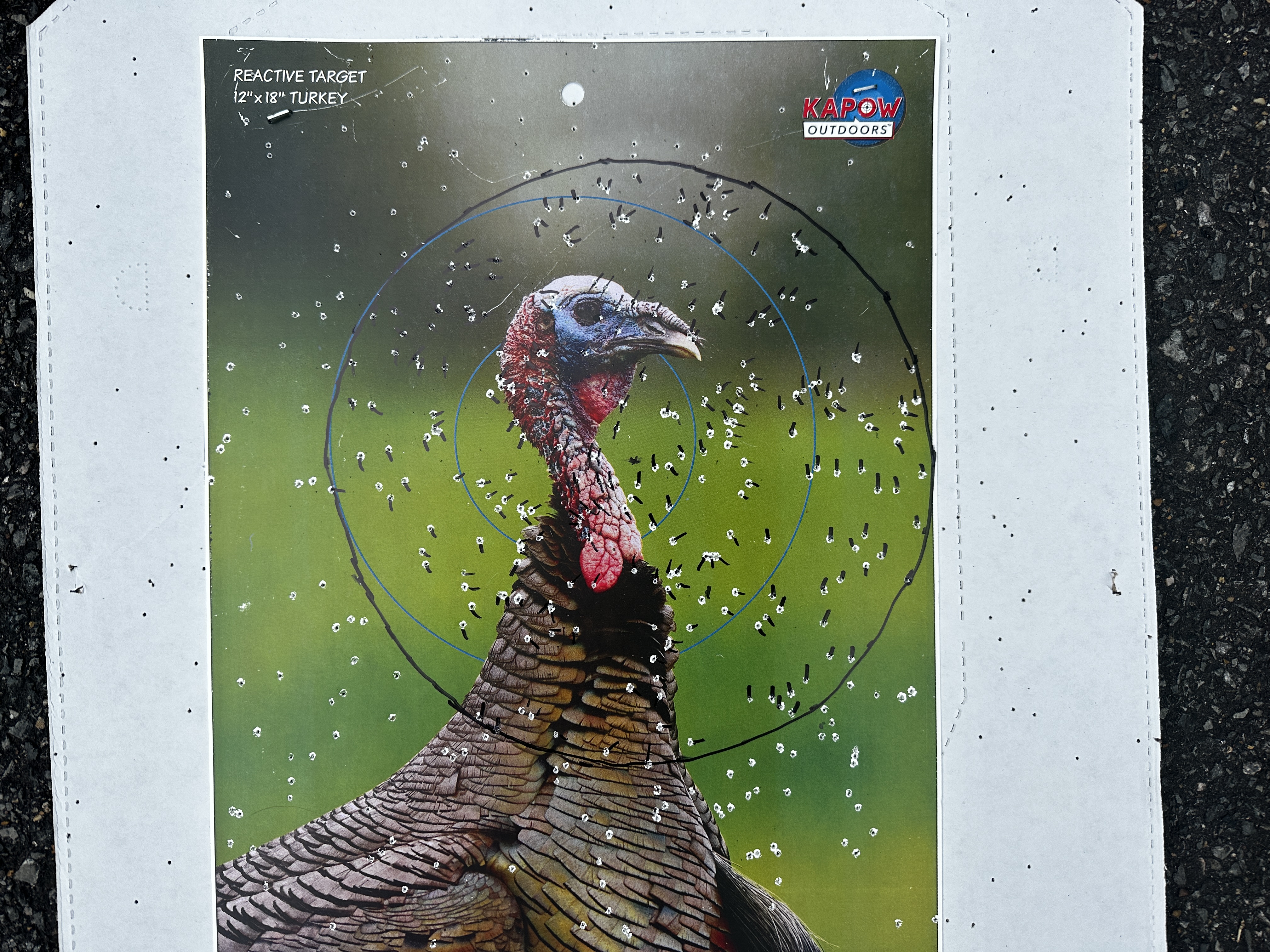 [Titre du site] Beretta A300 Ultima Turquie, modèle testé