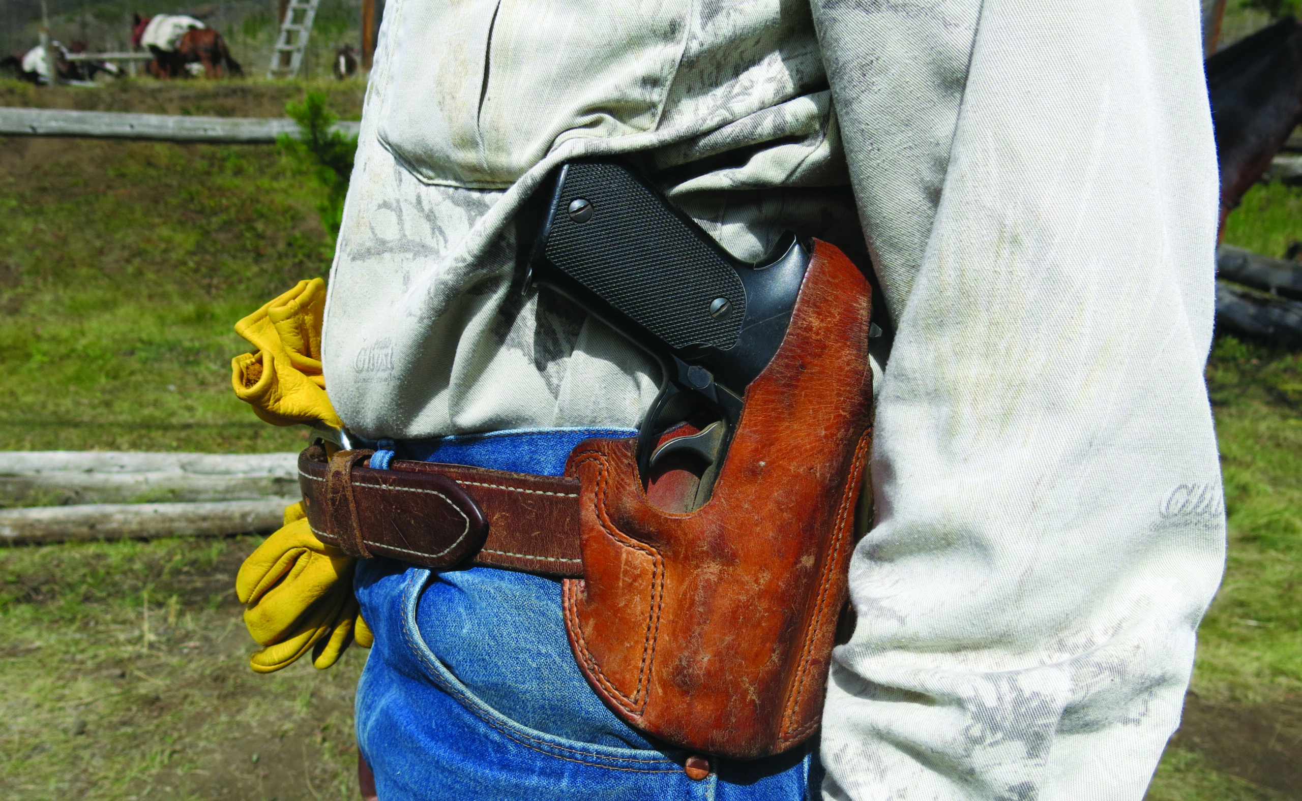 [Titre du site] Il m'a fallu des décennies pour dessiner une étiquette de mouflon d'Amérique - mais cela valait bien l'attente