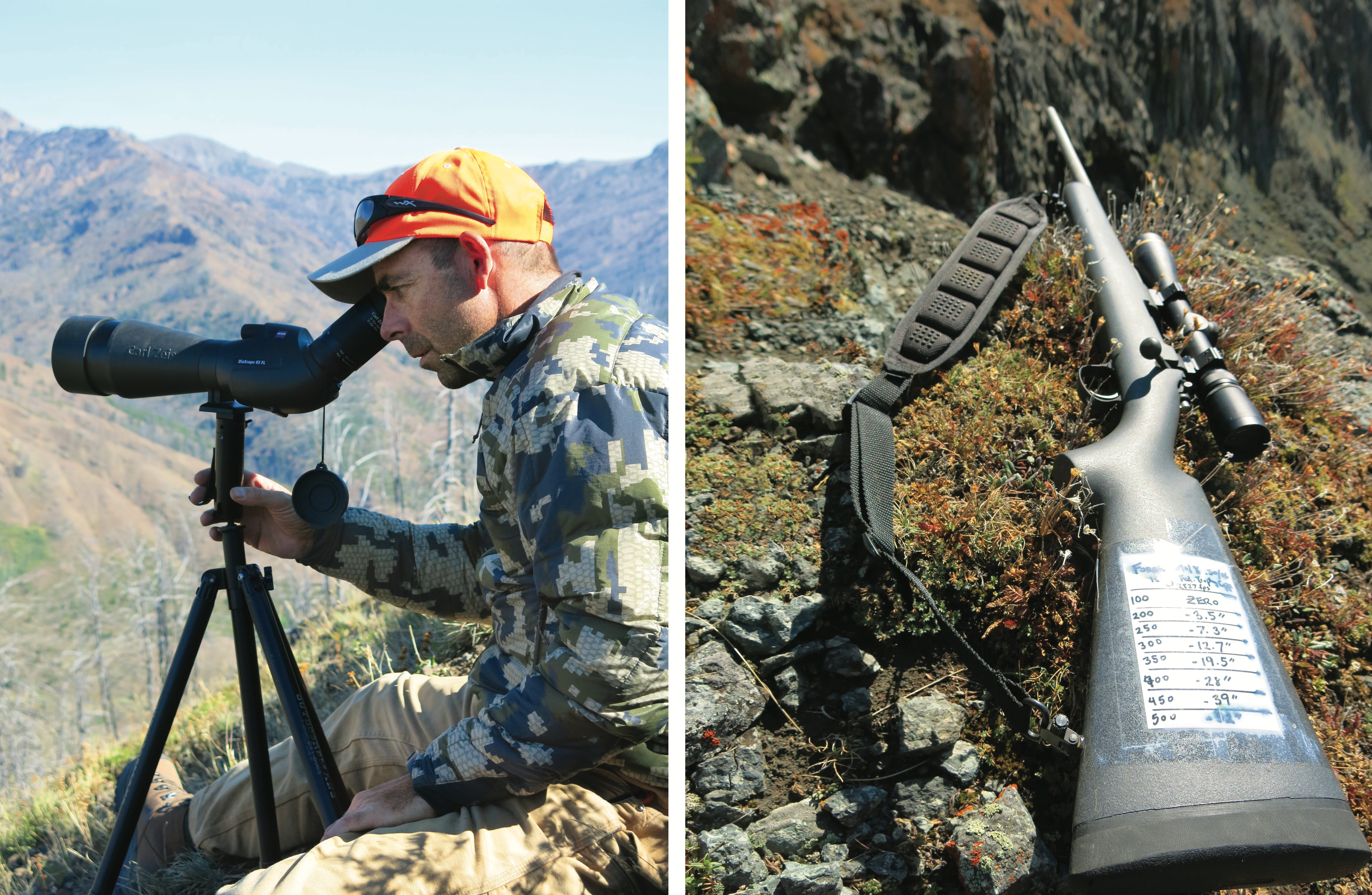 [Titre du site] Il m'a fallu des décennies pour dessiner une étiquette de mouflon d'Amérique - mais cela valait bien l'attente