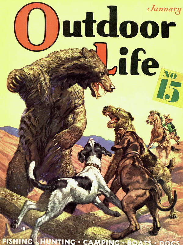 [Titre du site] Accusé par un buffle du Cap qui refusait de mourir