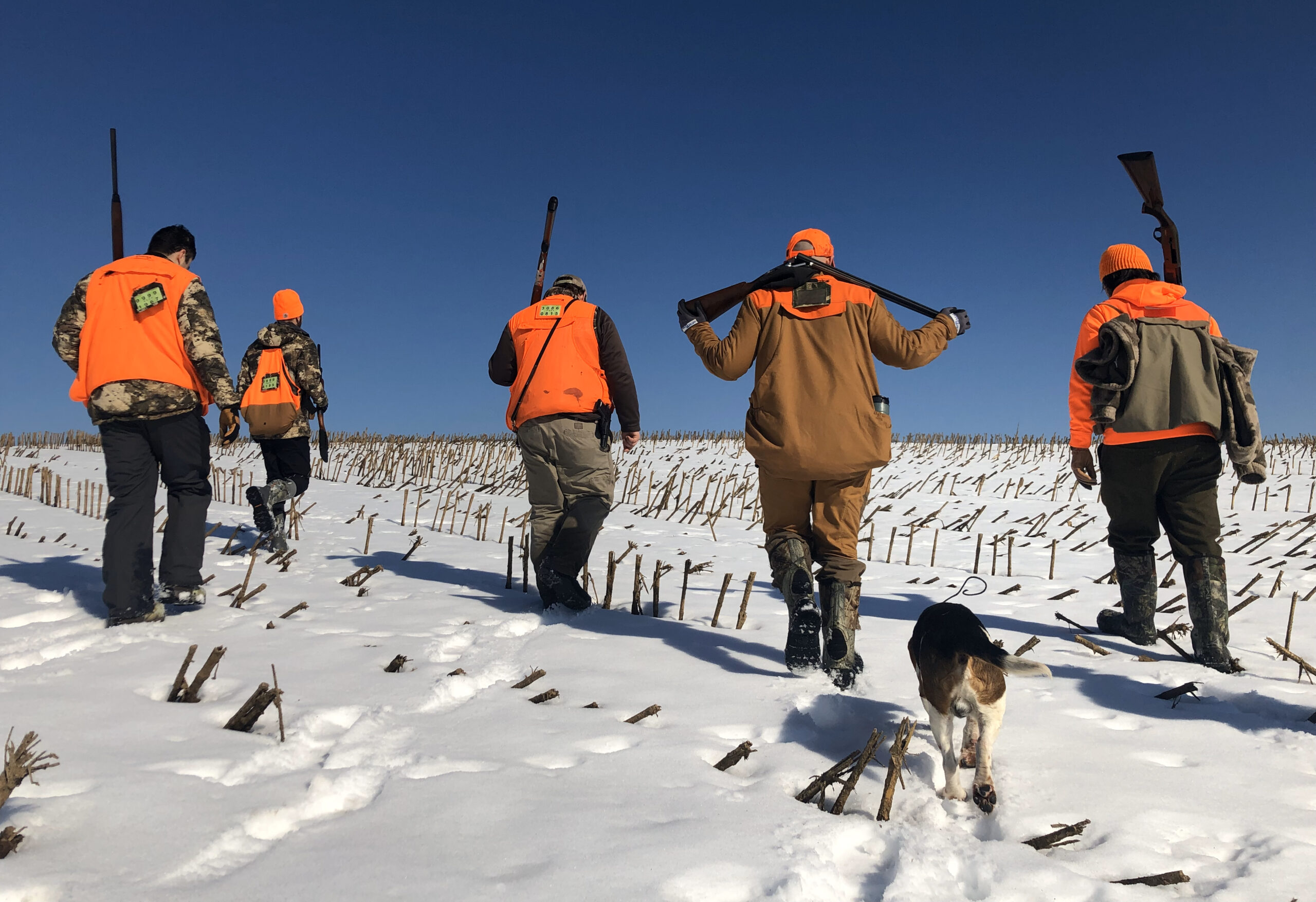 [Titre du site] Arrêtez de vous concentrer sur la chasse hardcore. Nous avons aussi besoin de chasseurs occasionnels