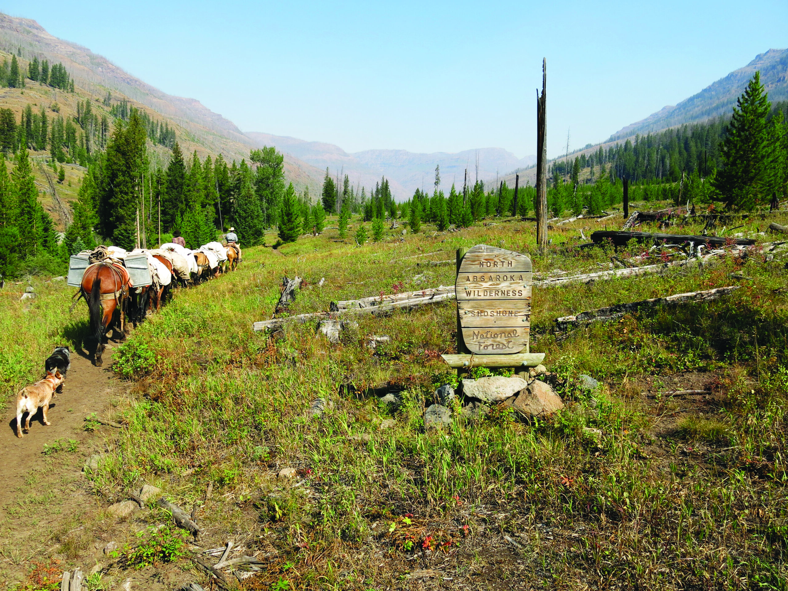 [Titre du site] Il m'a fallu des décennies pour dessiner une étiquette de mouflon d'Amérique - mais cela valait bien l'attente