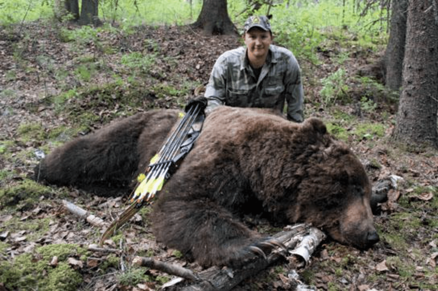 [Titre du site] J'ai abattu un grizzly intérieur monstrueux avec mon arc classique