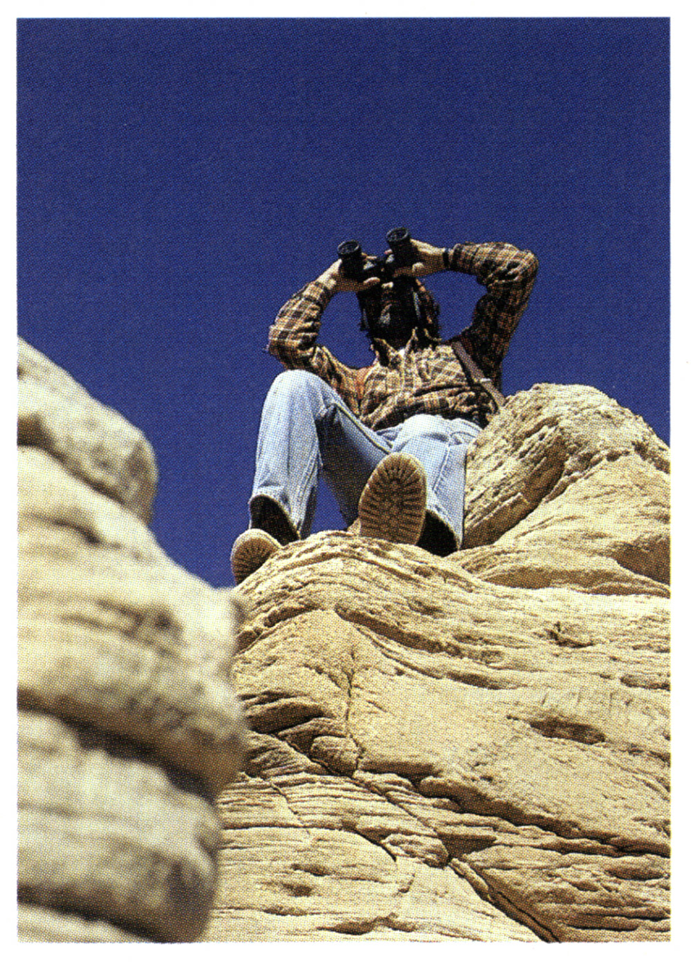 [Titre du site] J'ai dessiné une incroyable étiquette de mouton. Cela s’est transformé en une chasse à l’enfer, avant même que notre camion ne prenne feu