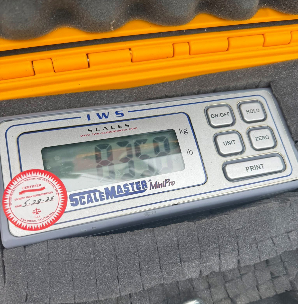 [Titre du site] «La bouchée la plus étonnante que j'ai jamais eue.» Le thon Monster Bluefin bat le record d'État qui n'était détenu que quelques heures