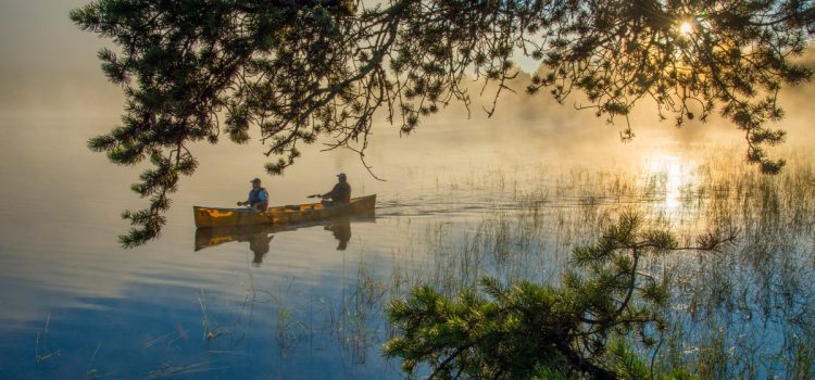 Le Congrès fait un pas de plus vers l’annulation des protections des eaux limitrophes critiques
