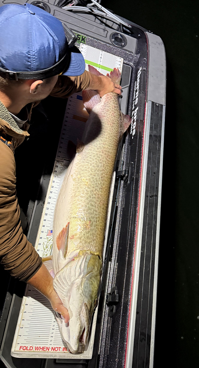 [Titre du site] Le record de Muskie du Wisconsin a été battu 3 fois en 2025. Celui-ci a remporté la couronne