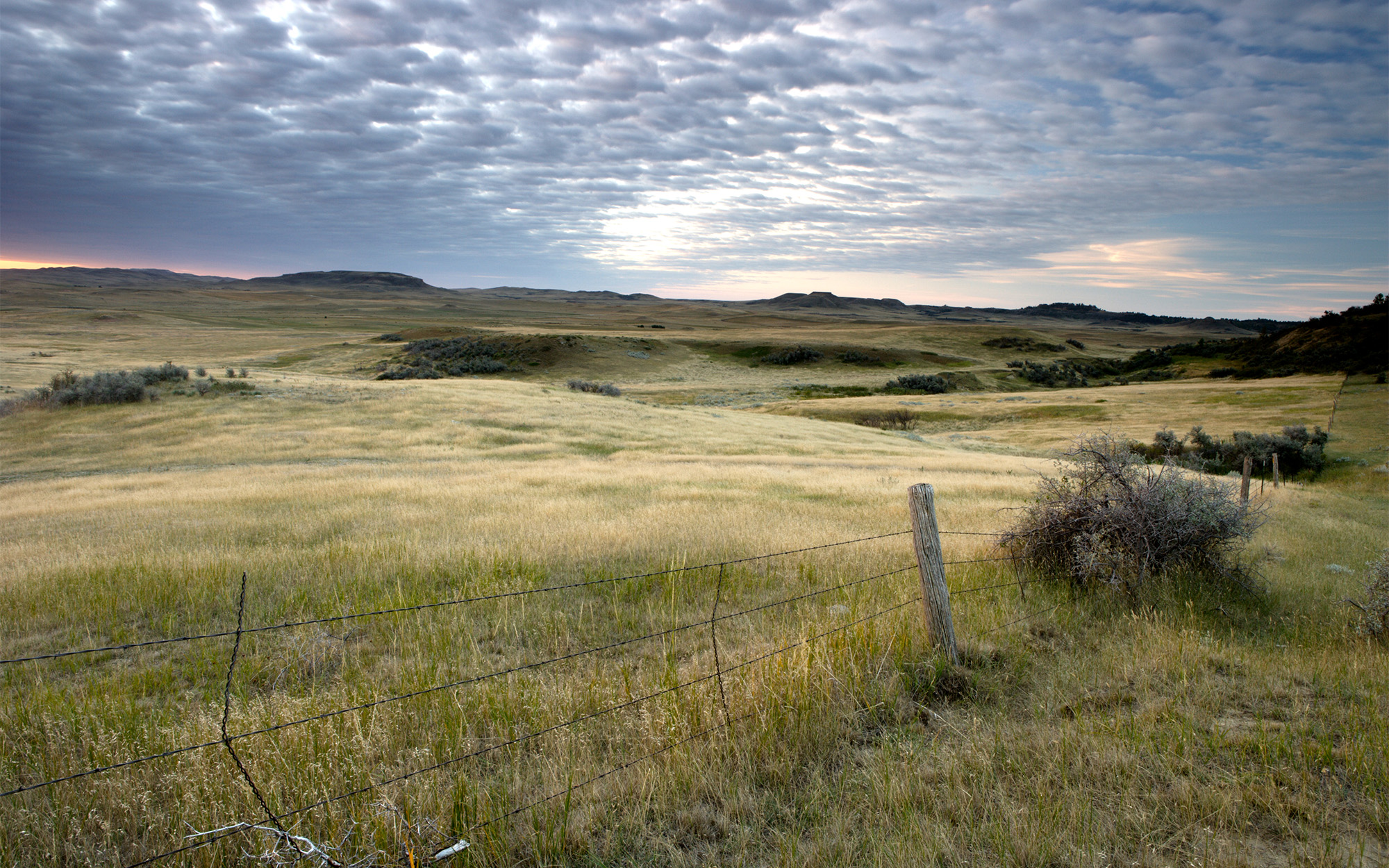 [Titre du site] Vous recherchez un terrain privé pour chasser dans le Dakota du Nord ? Découvrez cette nouvelle application