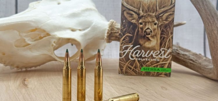 Voici pourquoi la cartouche .223 Remington est la cartouche pour cerf la plus sous-estimée
