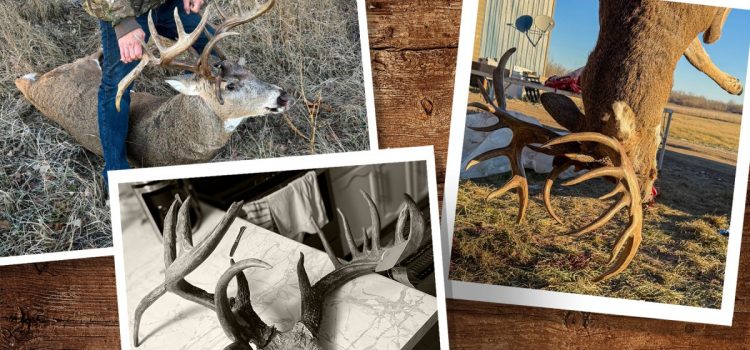 « Cette saison, c'était mon tour », déclare un chasseur canadien qui a marqué un mâle de classe 200 derrière une balle de balle
