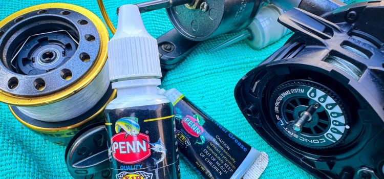 Podcast Quick Strike : Ne sautez certainement pas cet entretien hivernal facile pour vos moulinets de pêche
