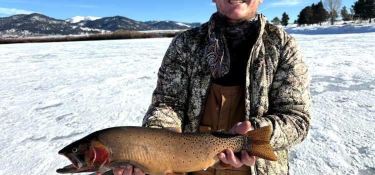 Un étudiant démarre la nouvelle année avec une truite fardée record d’État à travers la glace Un étudiant démarre la nouvelle année avec une truite fardée record d'État à travers la glace