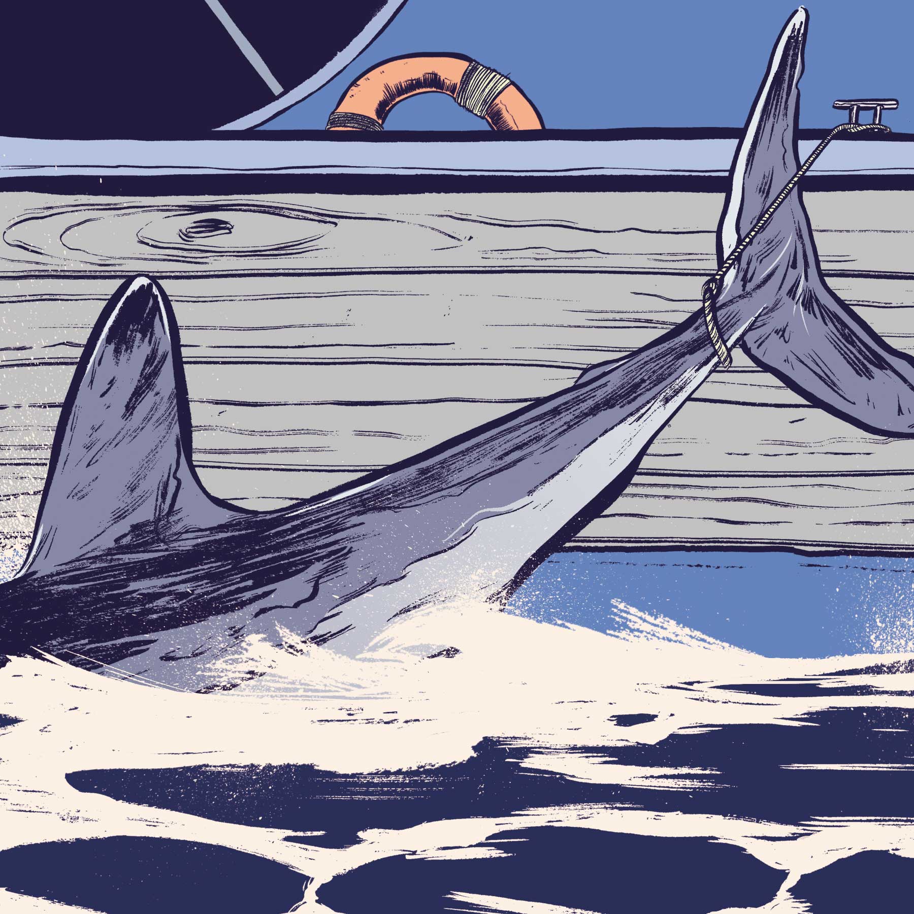 [Titre du site] « Des mâchoires pleines de dents dentelées plus larges que des couteaux à steak. » 3 histoires de pêche aux requins sauvages racontées par des capitaines de la vieille école