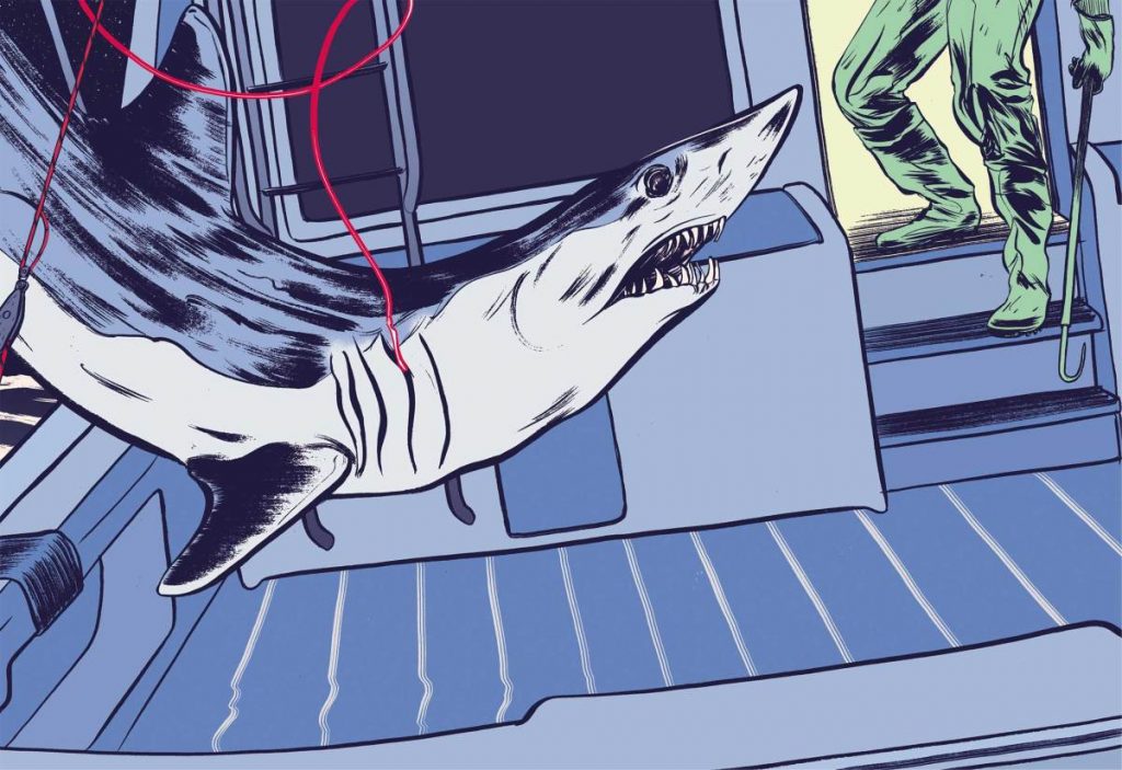« Des mâchoires pleines de dents dentelées plus larges que des couteaux à steak. » 3 histoires de pêche aux requins sauvages racontées par des capitaines de la vieille école