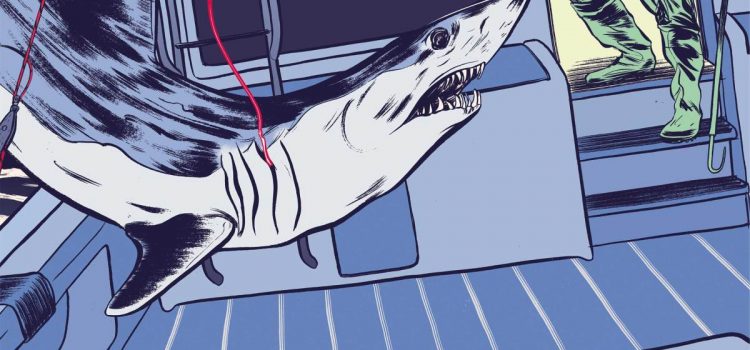 « Des mâchoires pleines de dents dentelées plus larges que des couteaux à steak. » 3 histoires de pêche aux requins sauvages racontées par des capitaines de la vieille école
