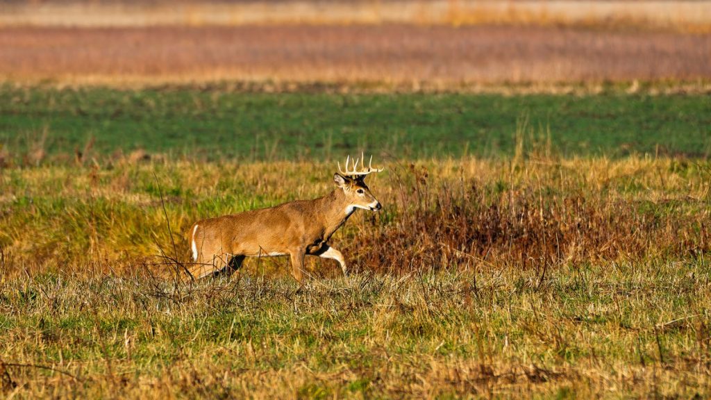Les législateurs de l'Indiana décident d'abolir la Commission des ressources naturelles, permettant ainsi l'adoption de réglementations sans surveillance