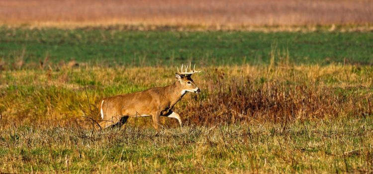 Les législateurs de l'Indiana décident d'abolir la Commission des ressources naturelles, permettant ainsi l'adoption de réglementations sans surveillance
