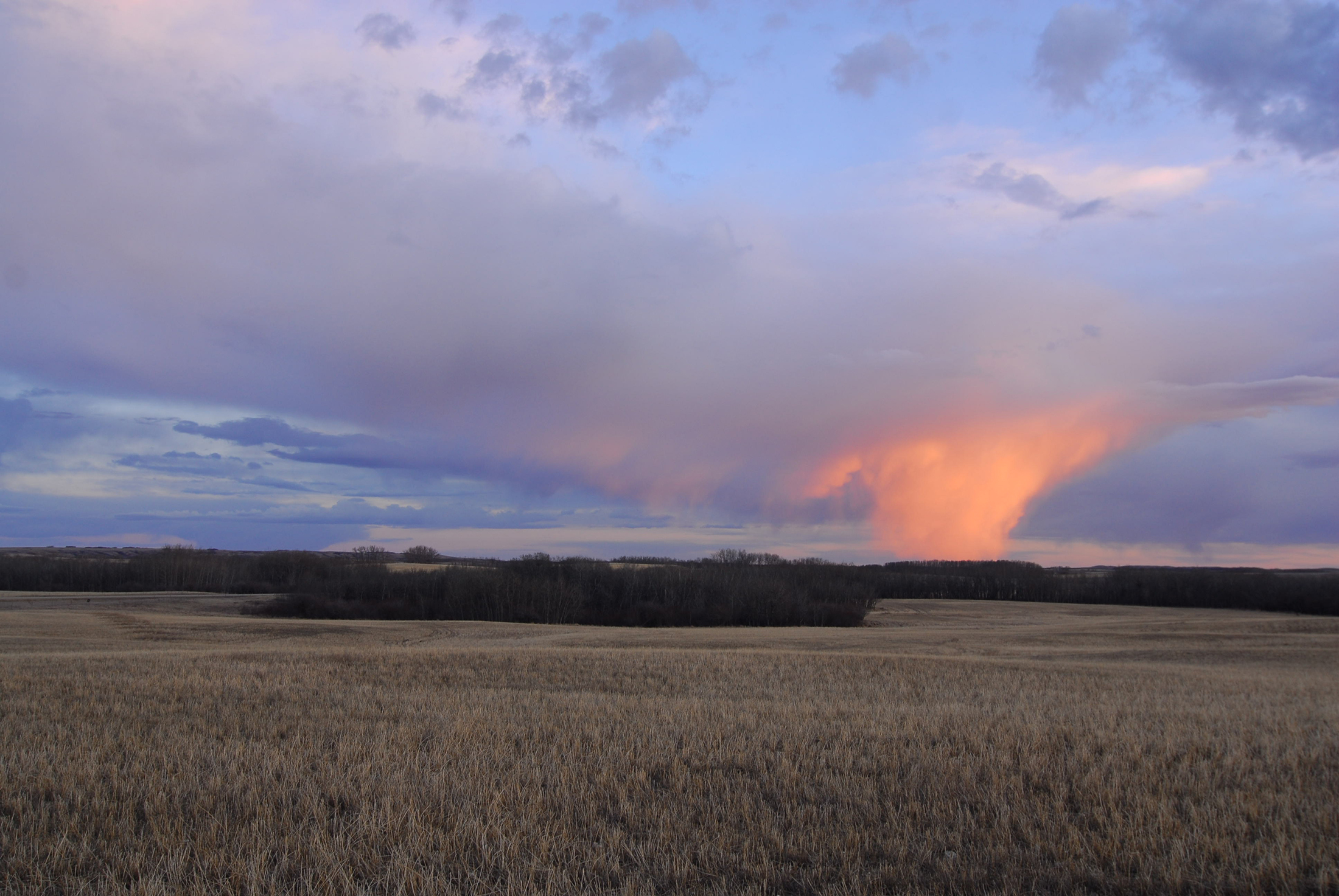 [Titre du site] Milo Hanson, l'agriculteur de la Saskatchewan qui a remporté le plus gros dollar de tous les temps, décède à 81 ans