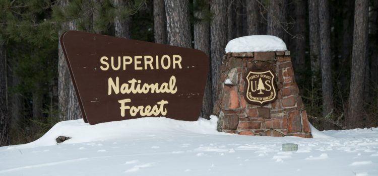 Le Service forestier veut « rationaliser » la façon dont vos terres publiques sont gérées en vous donnant moins de possibilités de commenter
