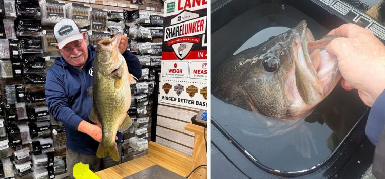 «C'est une chose puissante.» Un guide de pêche du Texas décroche un autre Lunker Bass et établit un nouveau record du lac
