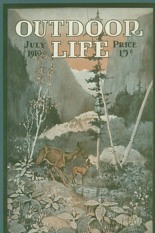 [Titre du site] Après que notre éditeur ait vu une première projection de "Bambi", il a averti Walt Disney que le film était "la pire insulte jamais faite" aux sportifs