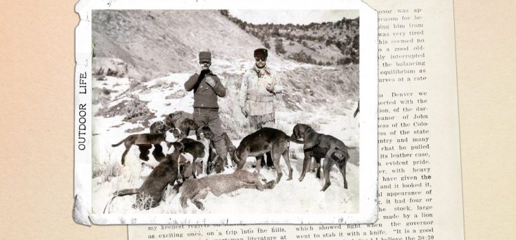 J'ai interviewé Teddy Roosevelt après sa chasse au lion de montagne dans la nature. Voici pourquoi son fusil avait des marques de dents
