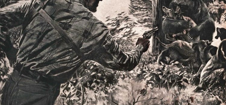 J’ai rejoint un groupe de chevaux pour traquer un ours noir mangeur de bétail et tueur de chiens J'ai rejoint un groupe de chevaux pour traquer un ours noir mangeur de bétail et tueur de chiens