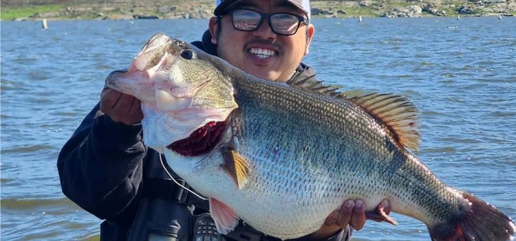 Cette Mega Bass californienne pourrait ne pas être considérée comme un disque en raison d’une technicité étrange Cette Mega Bass californienne pourrait ne pas être considérée comme un disque en raison d'une technicité étrange