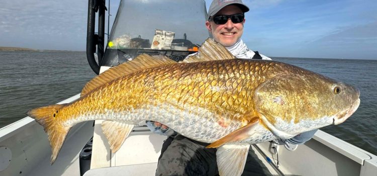 Ce sébaste massif aurait pu constituer un nouveau record d’État. Il n’y avait aucun moyen de le peser officiellement Ce sébaste massif aurait pu constituer un nouveau record d’État. Il n'y avait aucun moyen de le peser officiellement