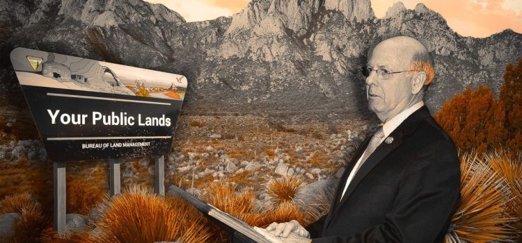 Qu’y a-t-il de si grave chez Stevan Pearce, le choix de Trump pour diriger le BLM ? Pour commencer, son bilan en matière de terres publiques Qu'y a-t-il de si grave chez Stevan Pearce, le choix de Trump pour diriger le BLM ? Pour commencer, son bilan en matière de terres publiques