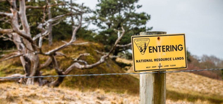 L’intérieur vient de vider de sa substance une loi sur la conservation du substrat rocheux qui affectera les terres publiques partout L’intérieur vient de vider de sa substance une loi sur la conservation du substrat rocheux qui affectera les terres publiques partout