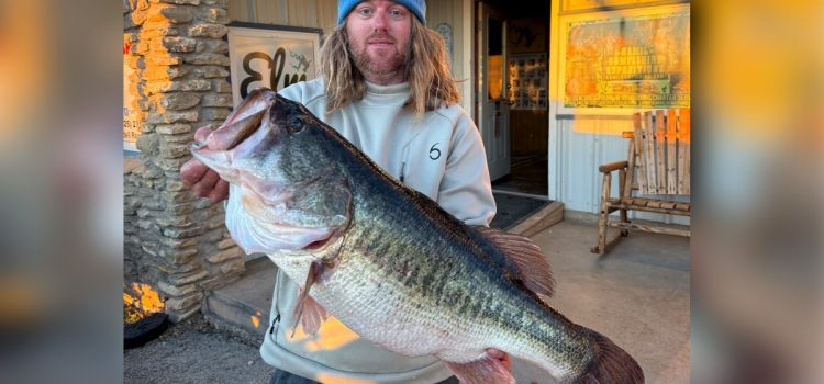 «Un spot spécial pour les grosses basses.» Ce guide vient d’attraper son 15e 13 livres et plus dans le même lac «Un spot spécial pour les grosses basses.» Ce guide vient d'attraper son 15e 13 livres et plus dans le même lac