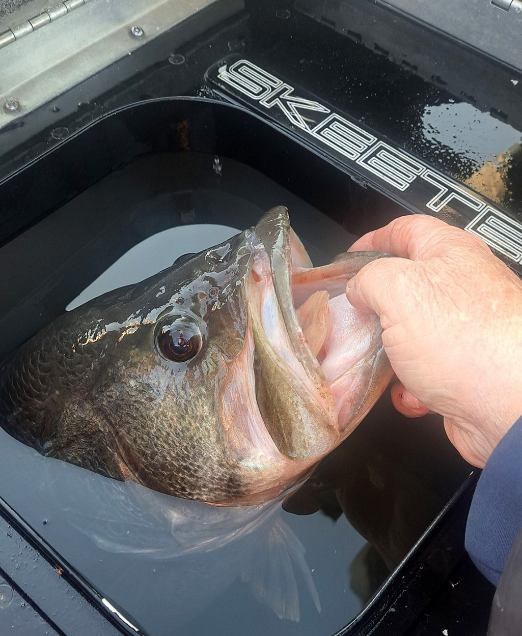 [Titre du site] «C'est une chose puissante.» Un guide de pêche du Texas décroche un autre Lunker Bass et établit un nouveau record du lac