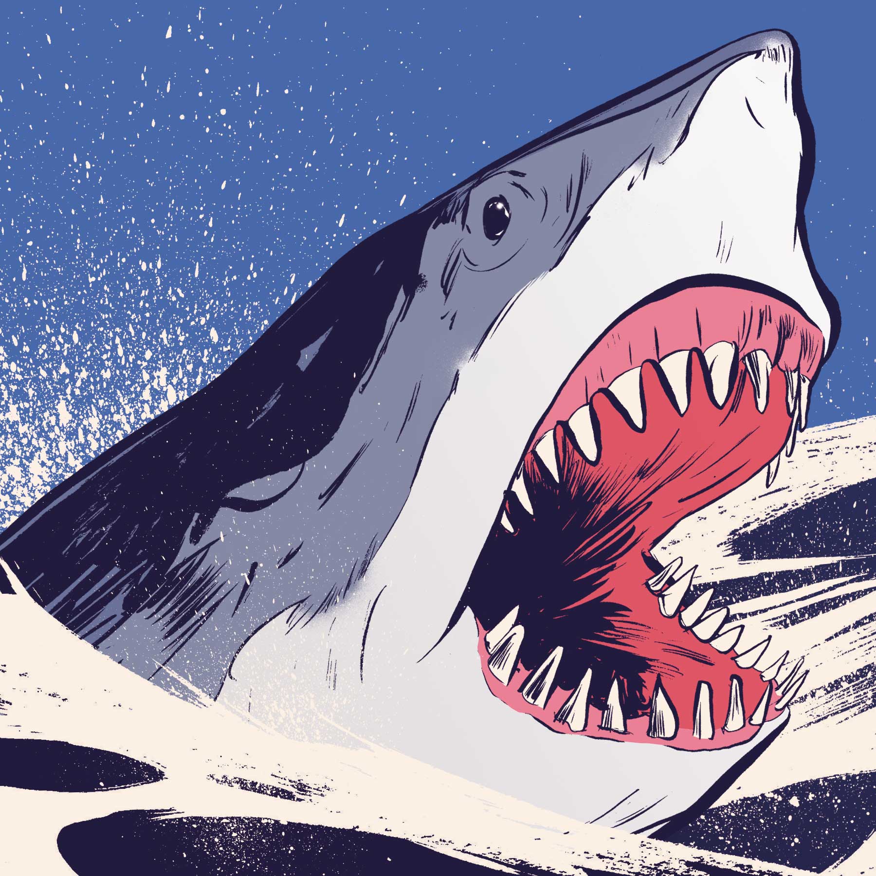 [Titre du site] « Des mâchoires pleines de dents dentelées plus larges que des couteaux à steak. » 3 histoires de pêche aux requins sauvages racontées par des capitaines de la vieille école