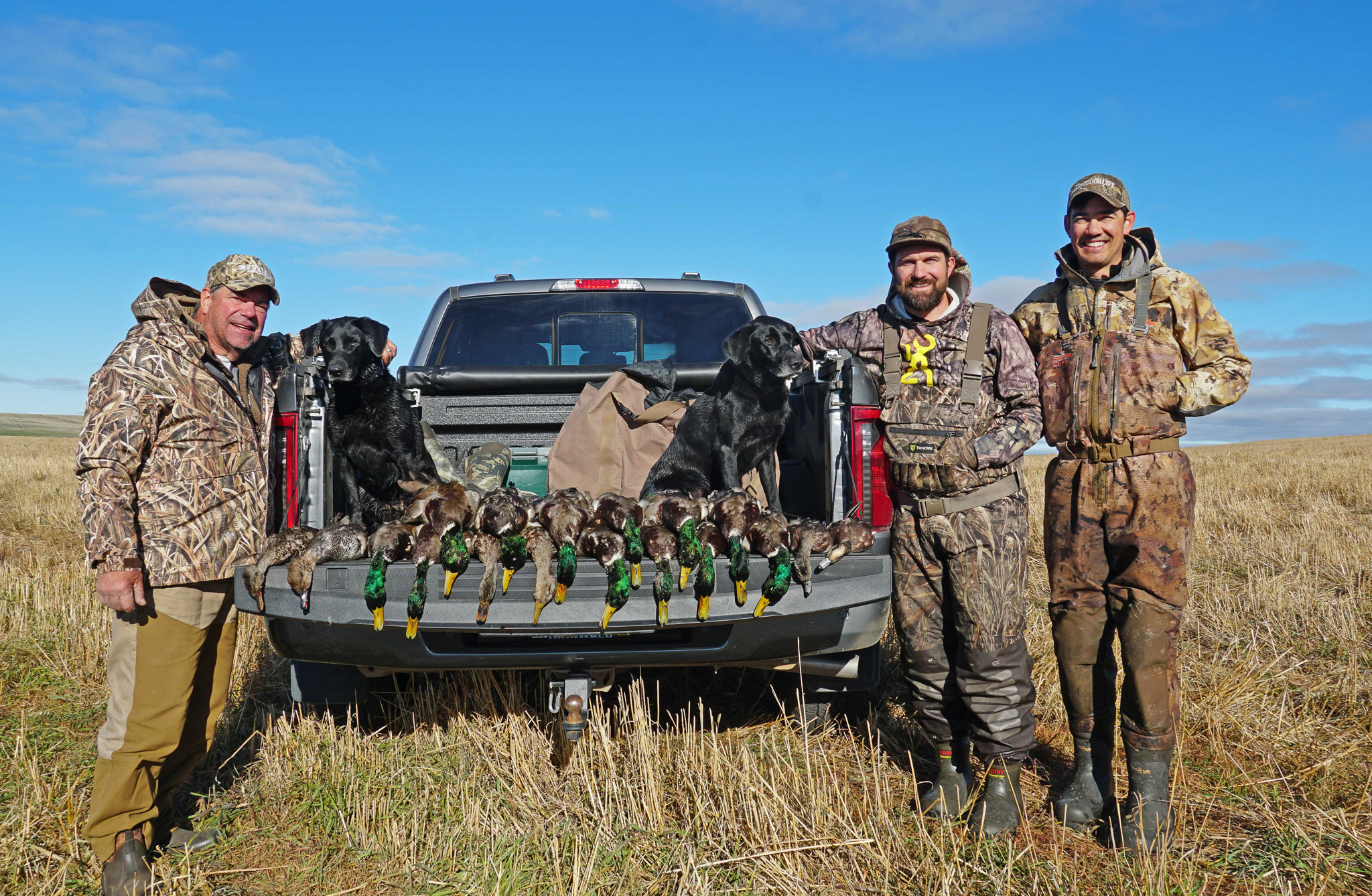 [Titre du site] La nouvelle réalité de la chasse au canard : elle deviendra de plus en plus difficile pour les sauvagistes de tous les jours