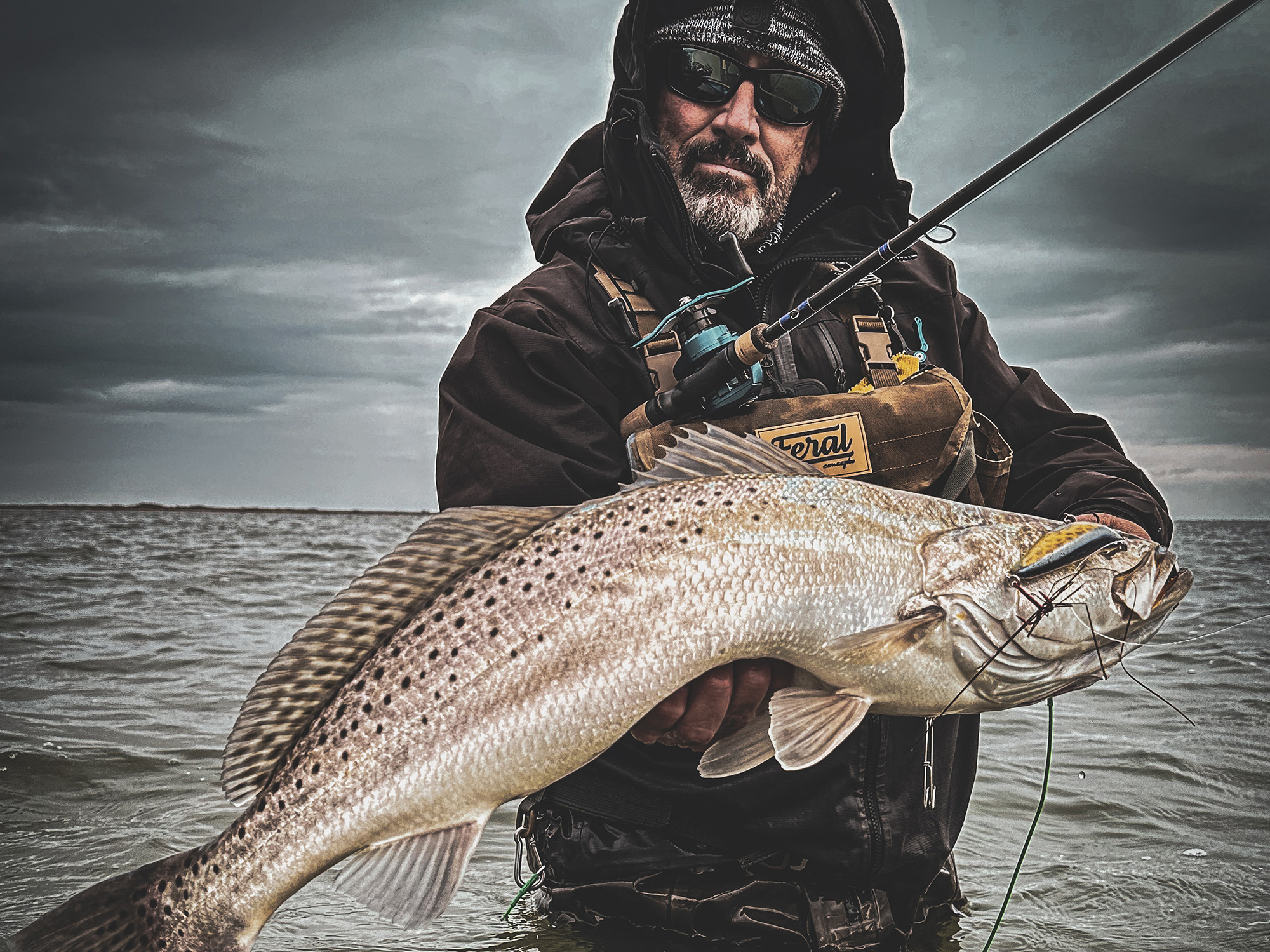 [Titre du site] Podcast Quick Strike : Si vous voulez une truite mouchetée de 30 pouces, allez vers le sud. Chemin vers le sud