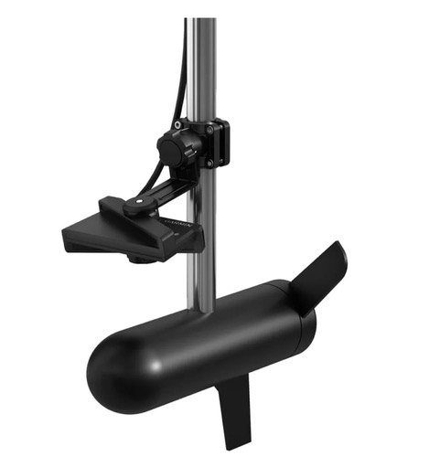 [Titre du site] Un guide complet pour attraper la marigane avec LiveScope