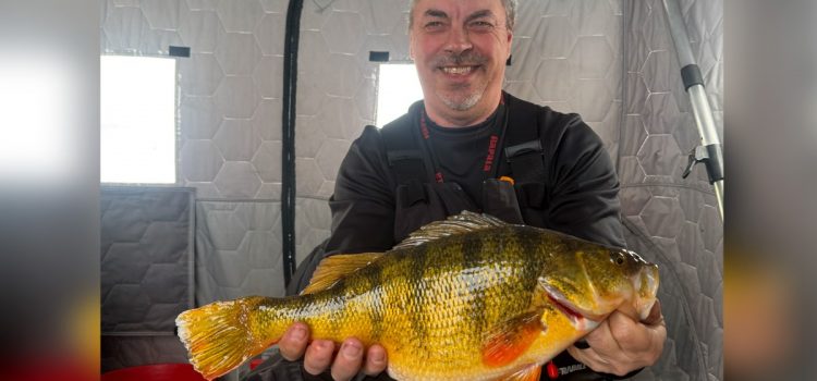 « Nos mâchoires viennent de tomber. » Une perche géante capturée à travers la glace devrait battre un record d’État vieux de 44 ans « Nos mâchoires viennent de tomber. » Une perche géante capturée à travers la glace devrait battre un record d'État vieux de 44 ans