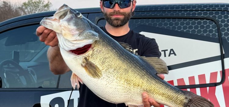 Texas Bass Guide atterrit plusieurs Lunkers, ainsi qu’un grand bouche de 13 livres, lors de son premier voyage dans un nouveau lac Texas Bass Guide atterrit plusieurs Lunkers, ainsi qu'un grand bouche de 13 livres, lors de son premier voyage dans un nouveau lac