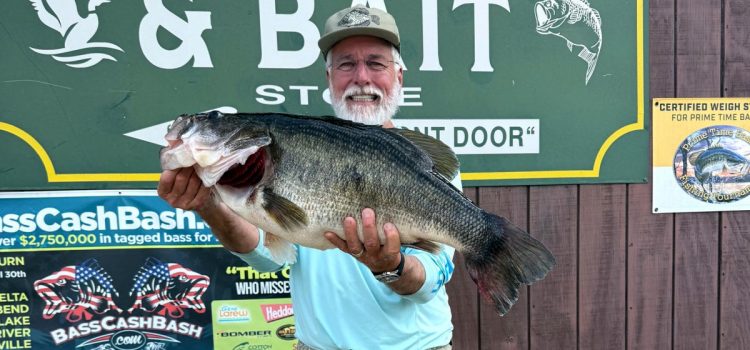 "Un vrai rodéo." Un pêcheur décroche une basse de 14 livres après un combat sauvage
