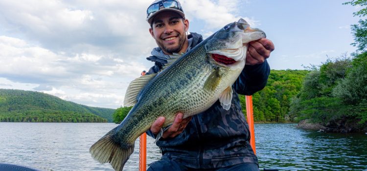 Comment attraper le plus gros bar de votre vie ce printemps
