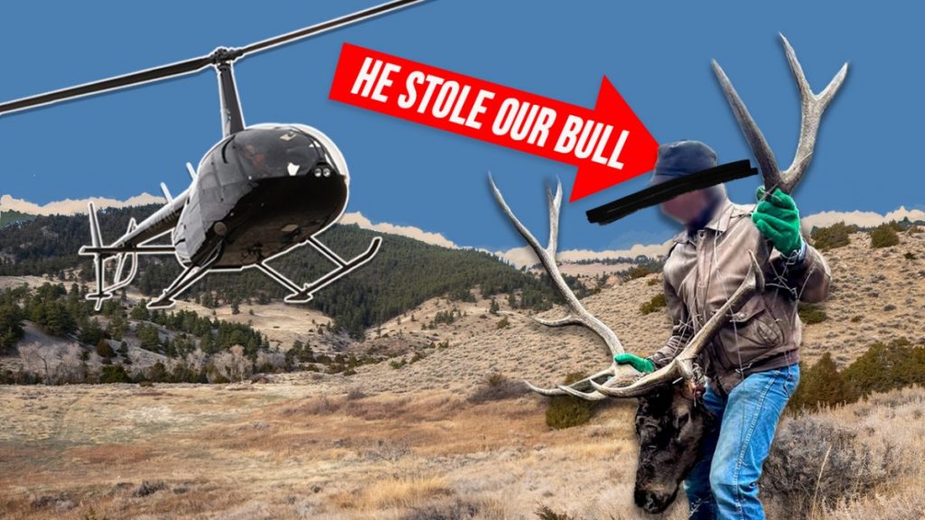 Vidéo : Nous avons atterri en hélicoptère sur un terrain public enclavé pour une chasse épique au wapiti – puis un éleveur a volé notre taureau