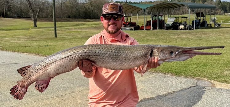 Un guide attrape un gar record d’État alors qu’il pêche en solo sur son lac natal
