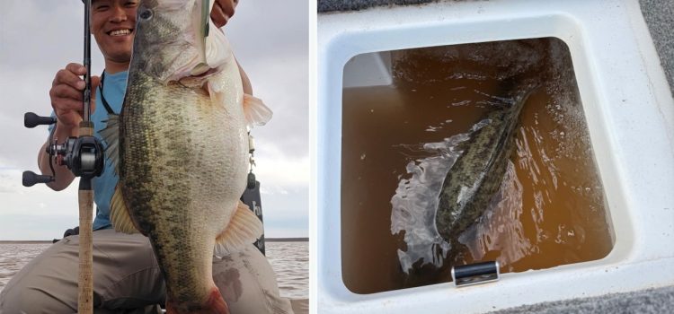 Un guide attrape une basse de 13 livres pendant que son client faisait une pause
