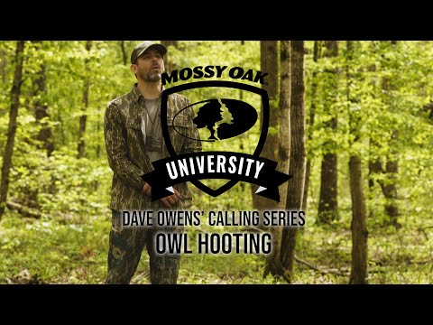 [Titre du site] Comment huer comme un hibou en utilisant votre voix naturelle