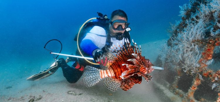 Ces plongeurs de poissons-lions défendent les récifs de Floride – en harponnant un poisson venimeux à la fois
