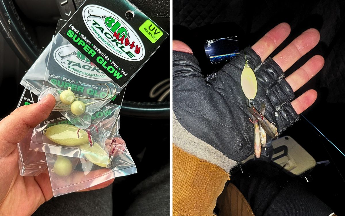 [Titre du site] Le homard du vrai pauvre ? Ce mystérieux poisson indigène connaît un boom de popularité