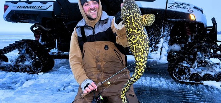 Le homard du vrai pauvre ? Ce mystérieux poisson indigène connaît un boom de popularité
